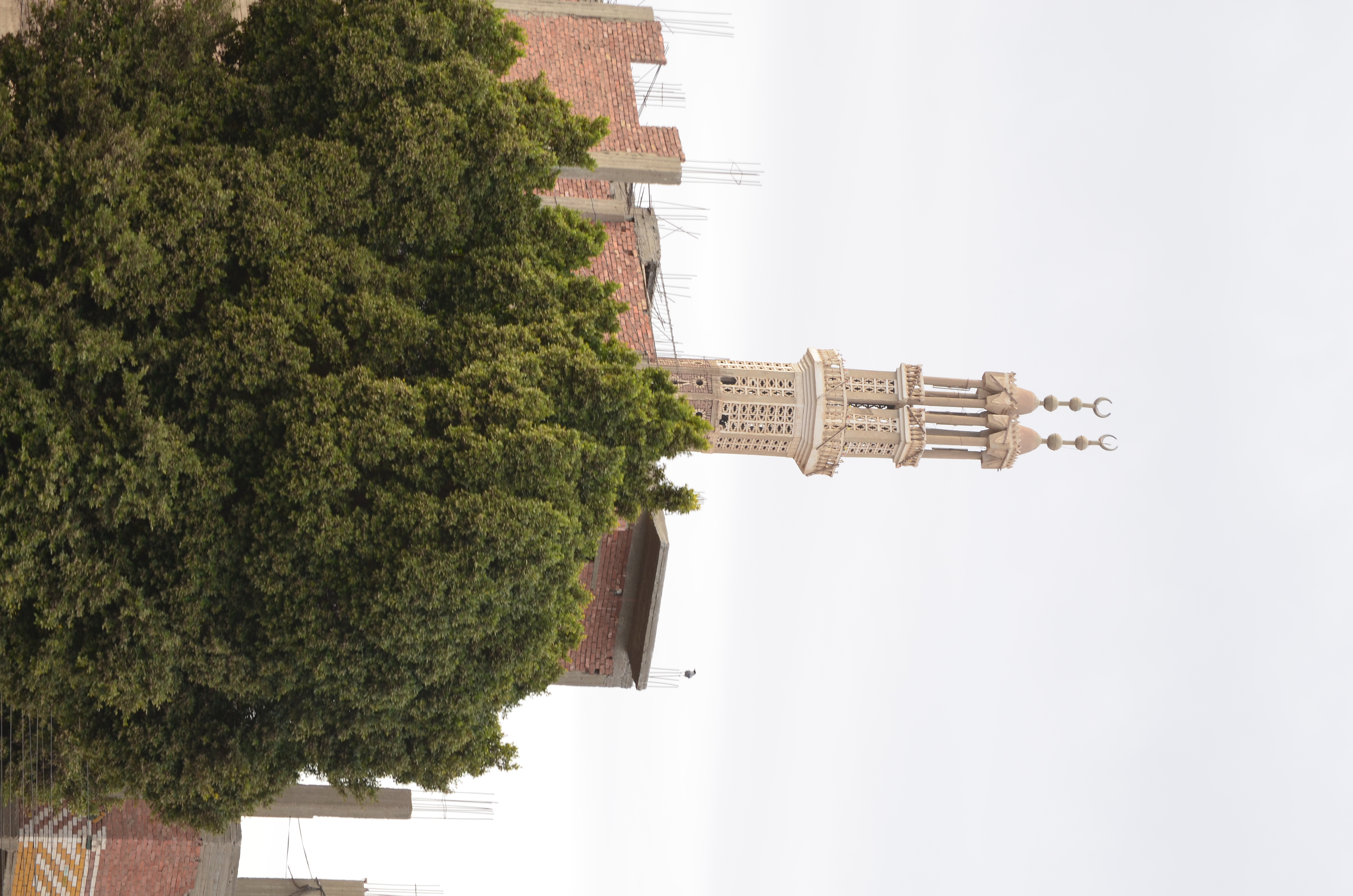 ./2018/16 - Egypt/11 - Edfu/EDSC_0098.JPG